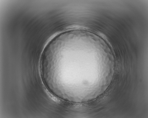 X0000059831098200511041739