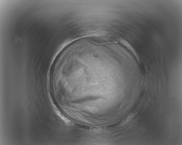 X0000059831099200511041739