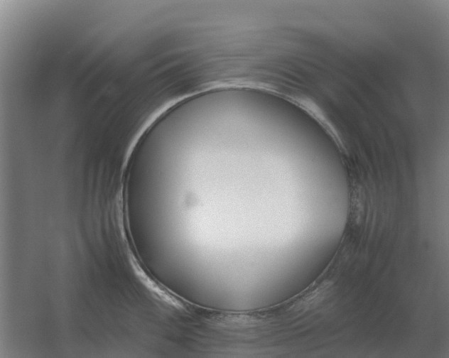 X0000059831100200511041739