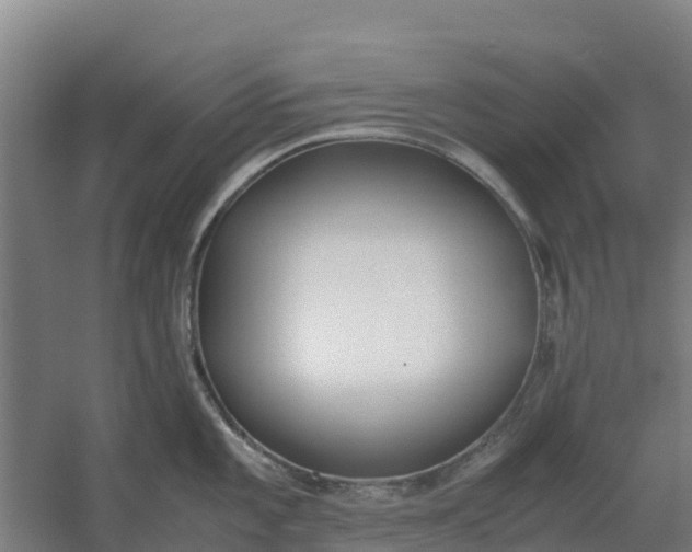 X0000059831101200511041739