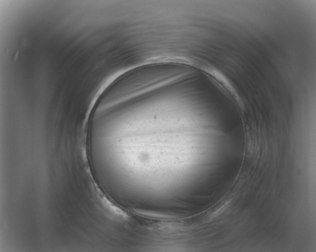 X0000059831102200511041739