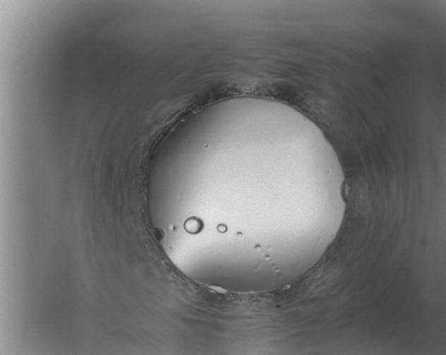 X0000059831105200511041738