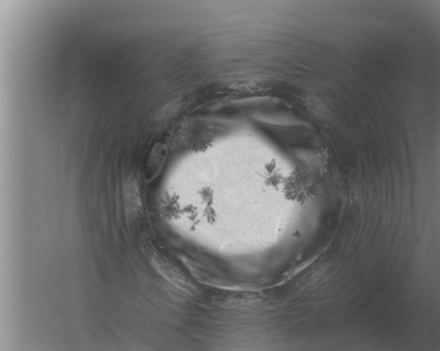 X0000059831106200511041738