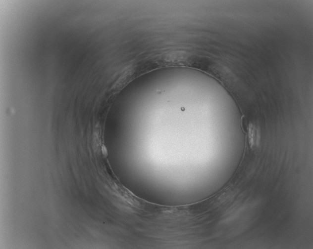 X0000059831107200511041738