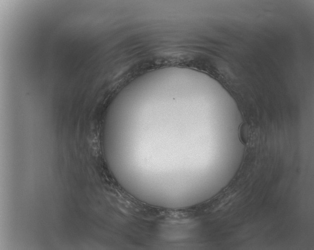 X0000059831109200511041738