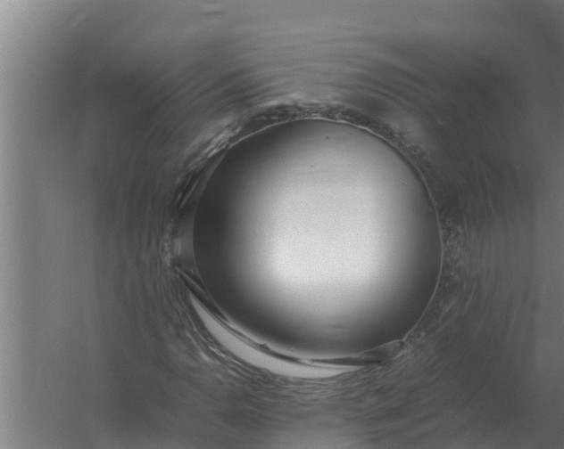 X0000059831110200511041738