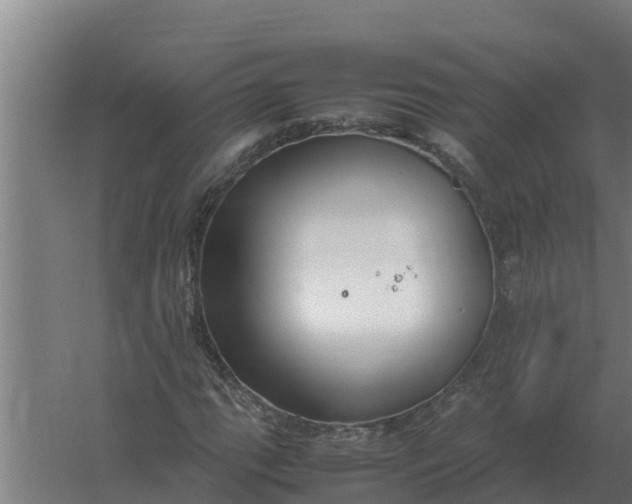 X0000059831111200511041738