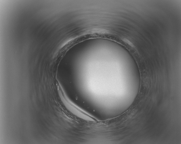 X0000059831112200511041738