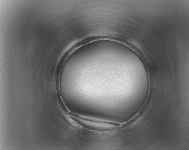 X0000059831114200511041738