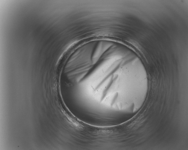 X0000059831115200511041738