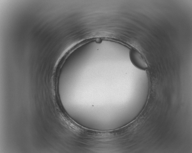 X0000059831120200511041738