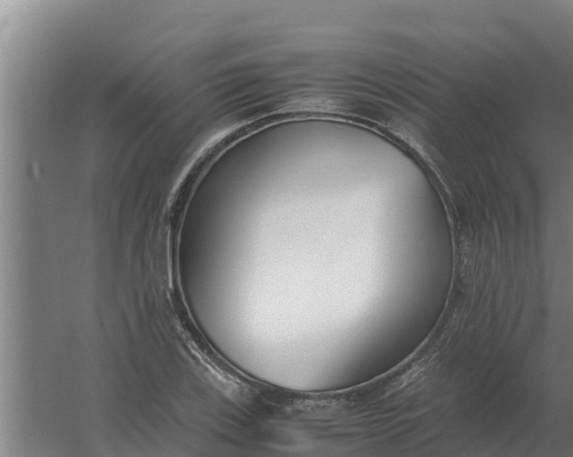 X0000059831123200511041738