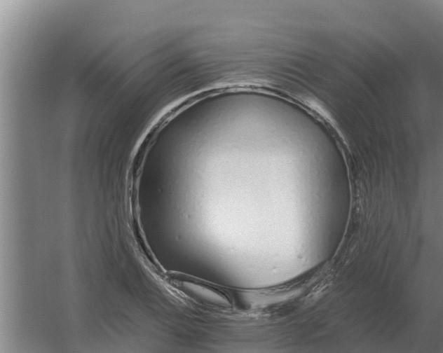 X0000059831124200511041738