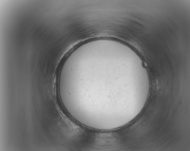 X0000059831126200511041739