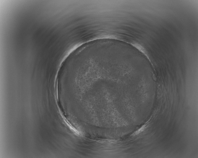 X0000059831127200511041739