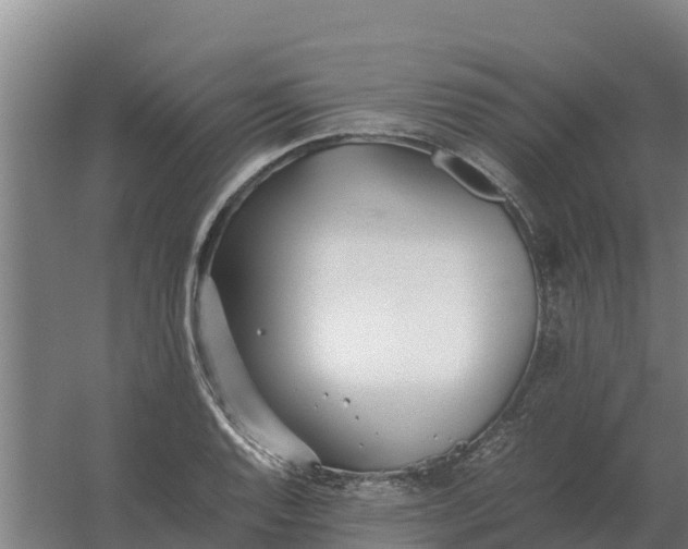 X0000059831128200511041739