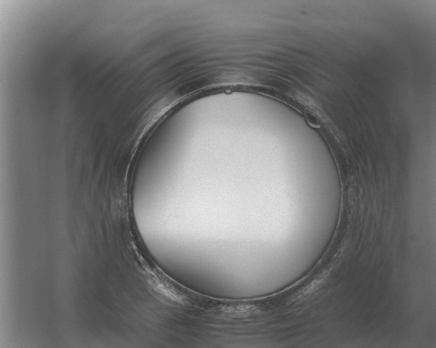 X0000059831129200511041739