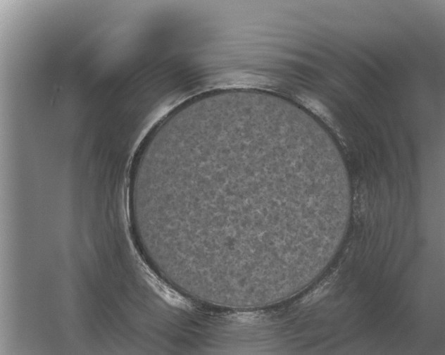 X0000059831130200511041739