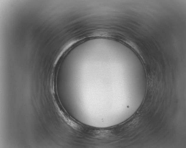 X0000059831131200511041739