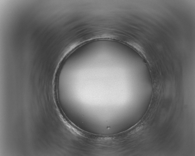 X0000059831135200511041739