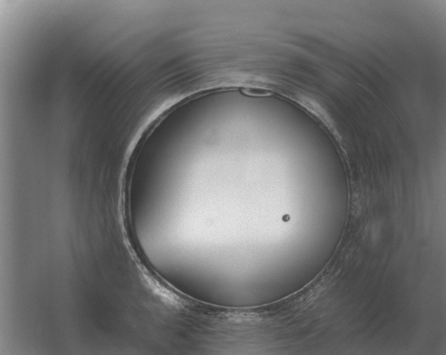 X0000059831136200511041739