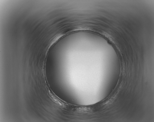 X0000059831137200511041739