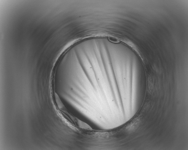 X0000059831142200511041739