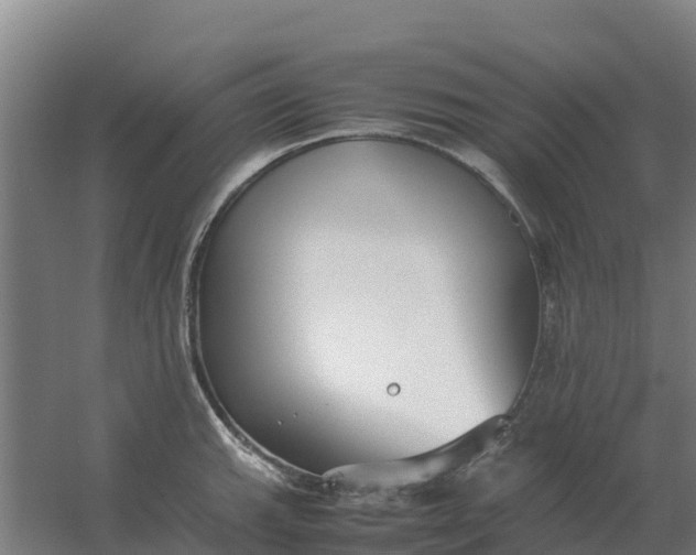 X0000059831143200511041739