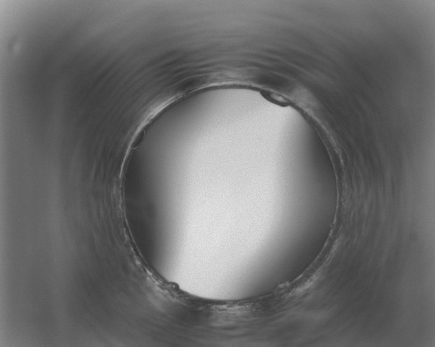 X0000059831145200511041739