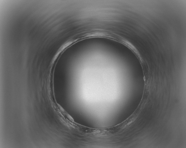 X0000059831146200511041739