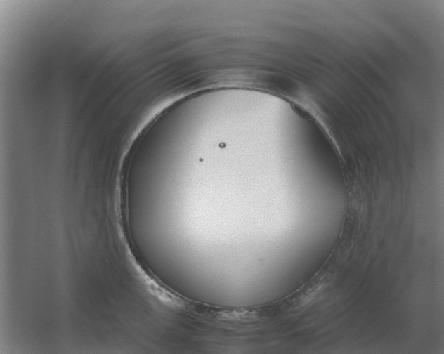 X0000059831147200511041739