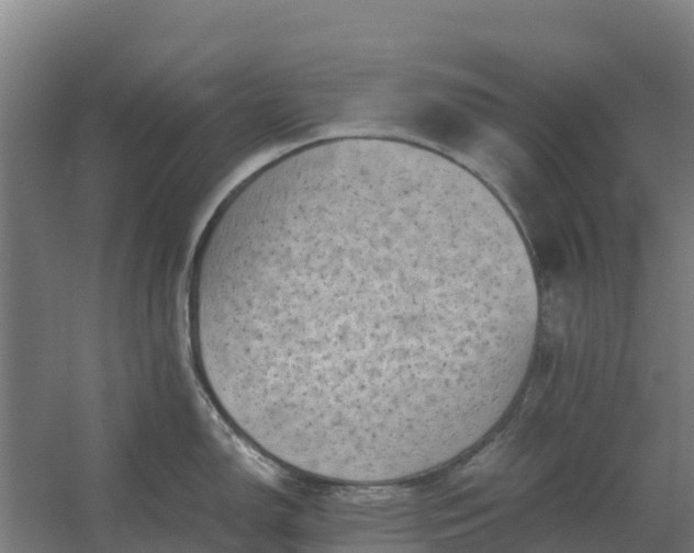 X0000059831150200511041739