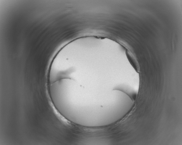 X0000059831152200511041739