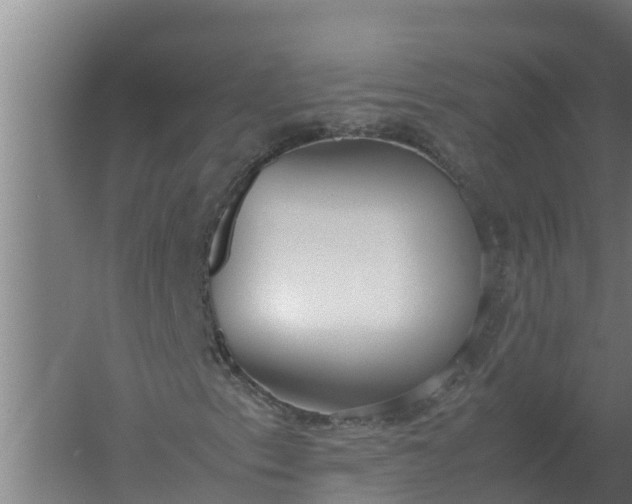 X0000059831153200511041738