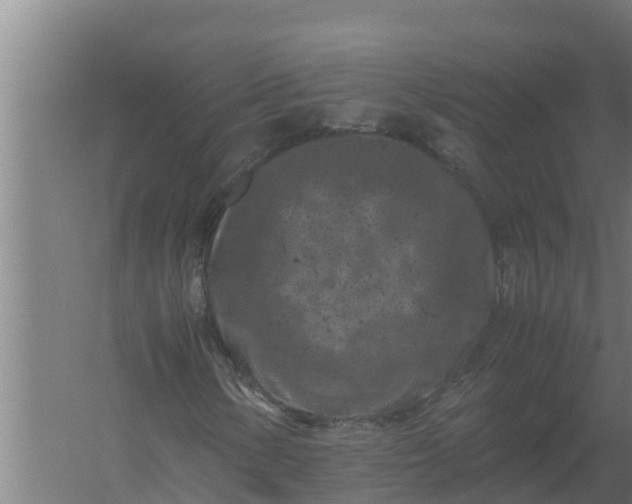 X0000059831154200511041738