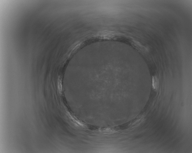 X0000059831155200511041738