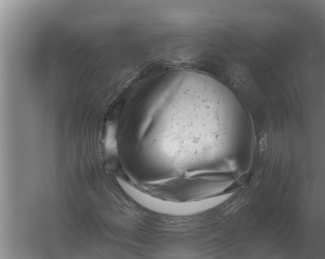 X0000059831156200511041738