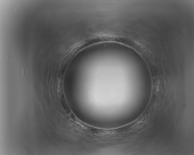 X0000059831157200511041738