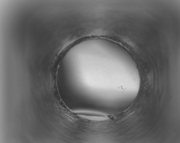 X0000059831160200511041738