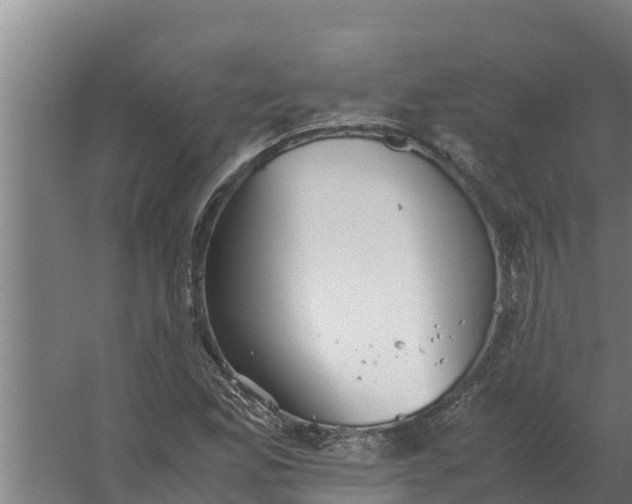 X0000059831165200511041738