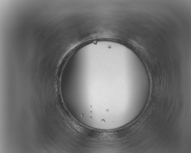 X0000059831166200511041738