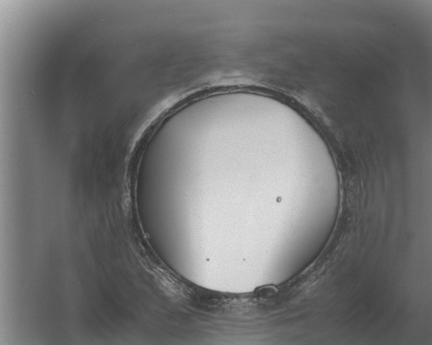 X0000059831167200511041738