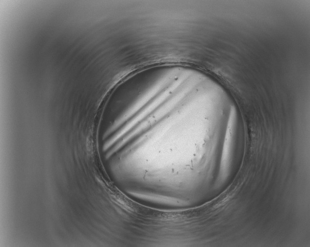 X0000059831170200511041738