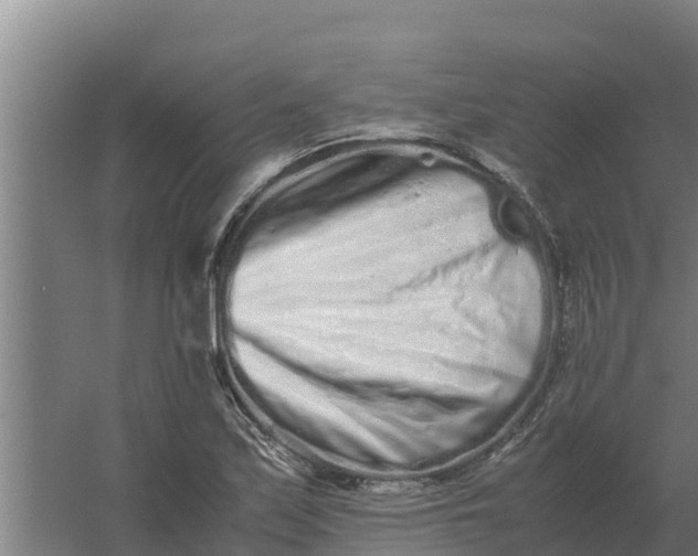 X0000059831171200511041738