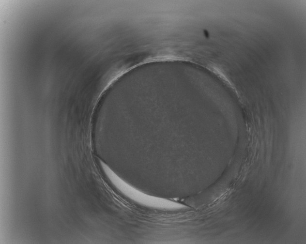 X0000059831173200511041738