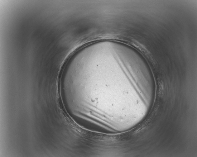 X0000059831174200511041738