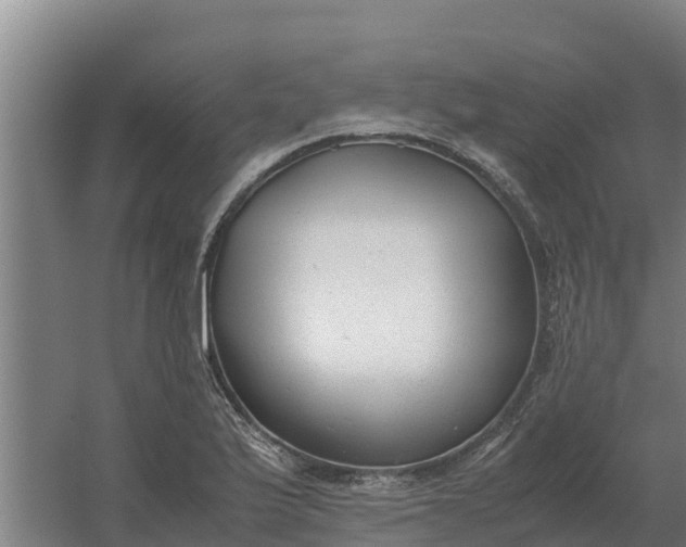 X0000059831175200511041738