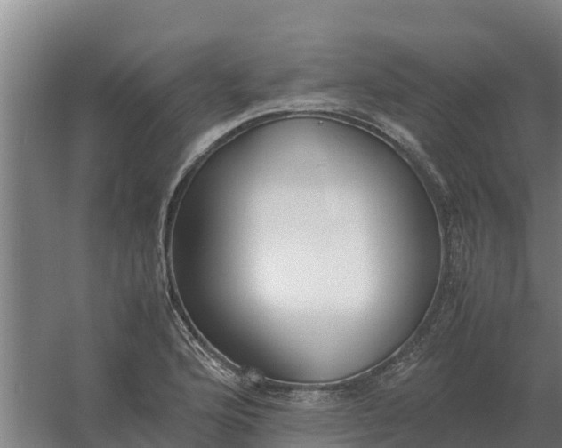 X0000059831176200511041738