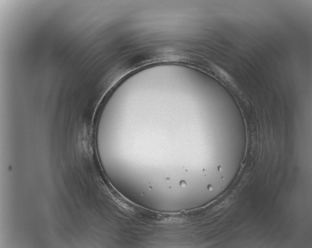 X0000059831178200511041738