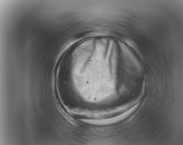 X0000059831179200511041738